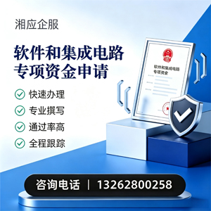 南平软件和集成电路专项资金申报服务
