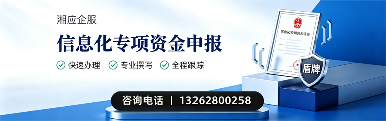 南平信息化专项资金申报服务