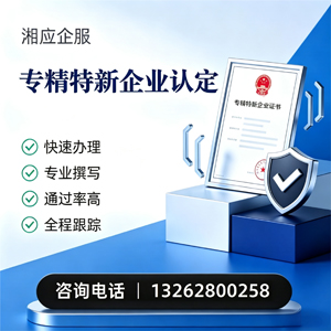 南平专精特新企业申报服务