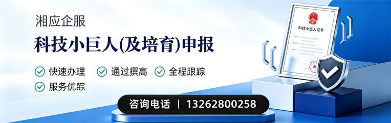 南平科技小巨人及培育企业申报服务
