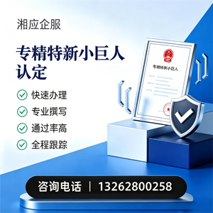 南平专精特新小巨人申报服务