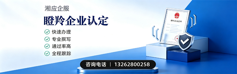 南平瞪羚企业认定申报服务