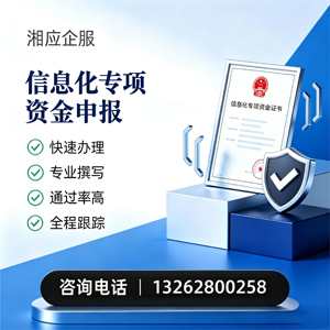南平信息化专项资金申报服务