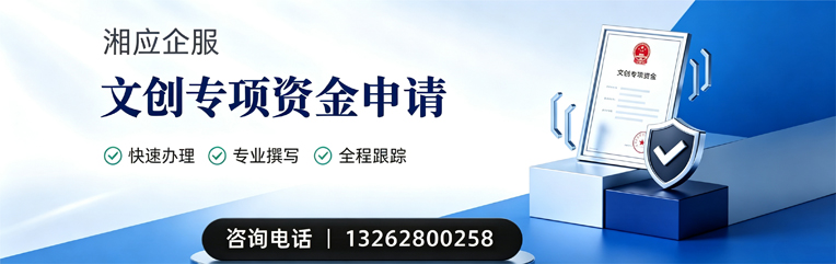 南平文创专项资金申报服务