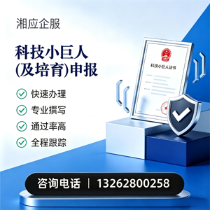 南平科技小巨人及培育企业申报服务