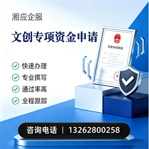 南平文创专项资金申报服务