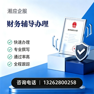 南平财务辅导申请服务