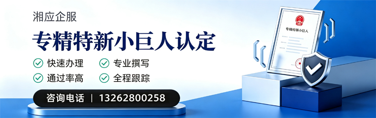 南平专精特新小巨人申报服务